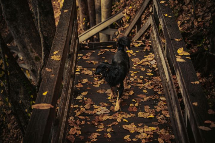 Trešdien nav gaidāmi būtiski nokrišņi