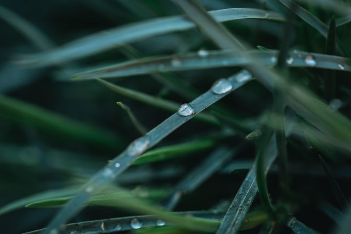 Pirmdien vietām starp mākoņiem uzspīdēs saule