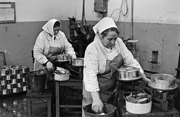 Zivis katlā un uz pannas – tās ir Mājas kafejnīcu dienas (nobeigums)