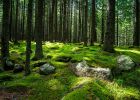 Attēls rakstam: Gaisa temperatūra trešdien saglabāsies zem +10 grādiem