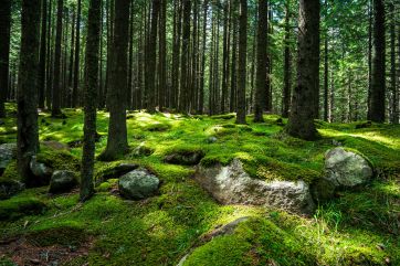 Attēls rakstam: Gaisa temperatūra trešdien saglabāsies zem +10 grādiem