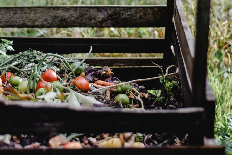 Attēls rakstam: Ogrē kaimiņiem traucē komposta kaudze