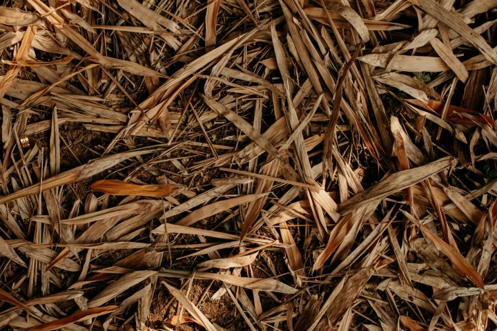 Posms no septembra līdz martam Latvijā - otrais sausākais novērojumu vēsturē