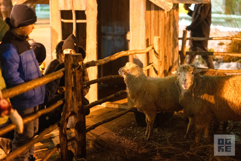 FOTO: Ogres novadā iemirdzas Ziemassvētku rotājumi un svētku egles