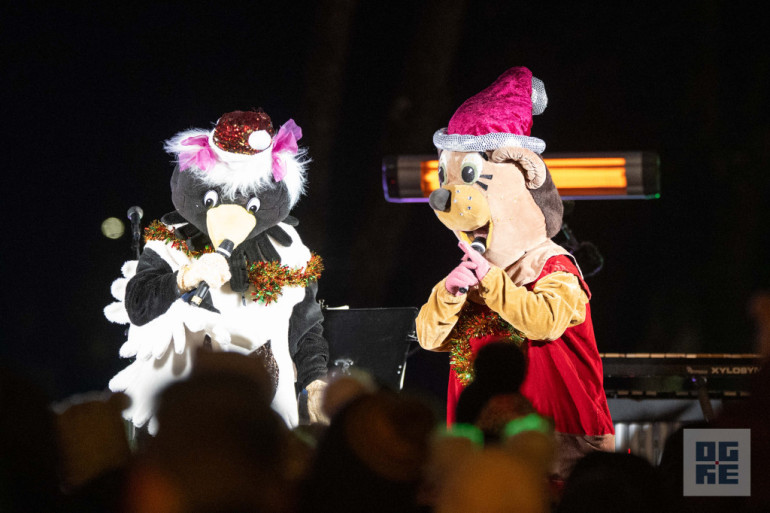 FOTO: Ogres novadā iemirdzas Ziemassvētku rotājumi un svētku egles