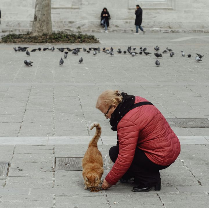 Imants Vīksne: Dzīvnieku un cilvēku izdzīvošanas stratēģijas
