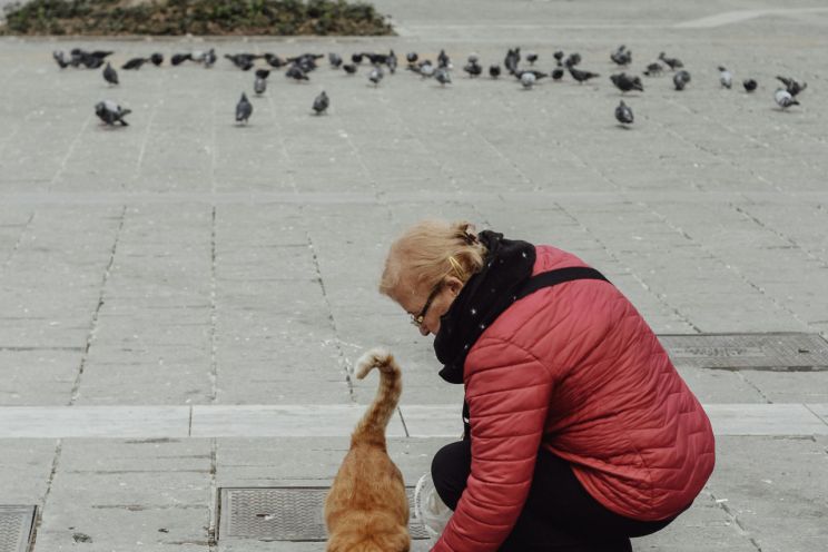 Attēls rakstam: Imants Vīksne: Dzīvnieku un cilvēku izdzīvošanas stratēģijas