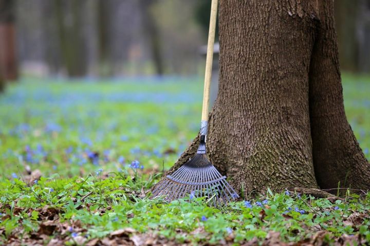 Ogres novada pašvaldība pēc piecu gadu pārtraukuma atkal piedalīsies Lielajā talkā