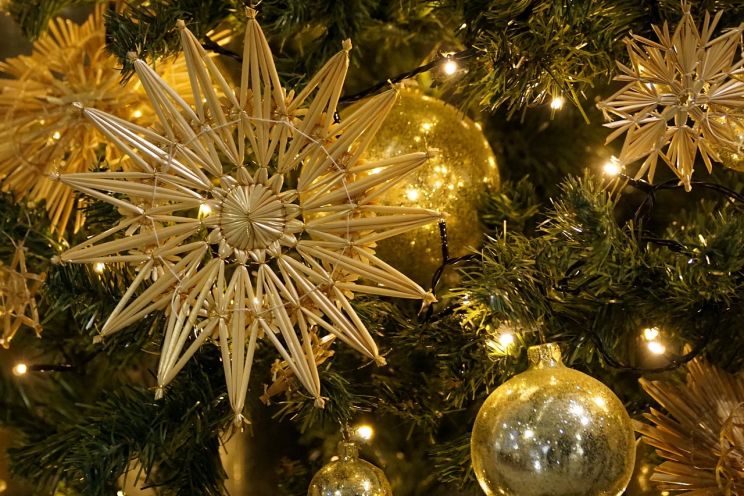 Attēls rakstam: Ogres novadā priecēs koncerti, piparkūku festivāls un Ziemassvētku eglīšu iedegšanas pasākumi