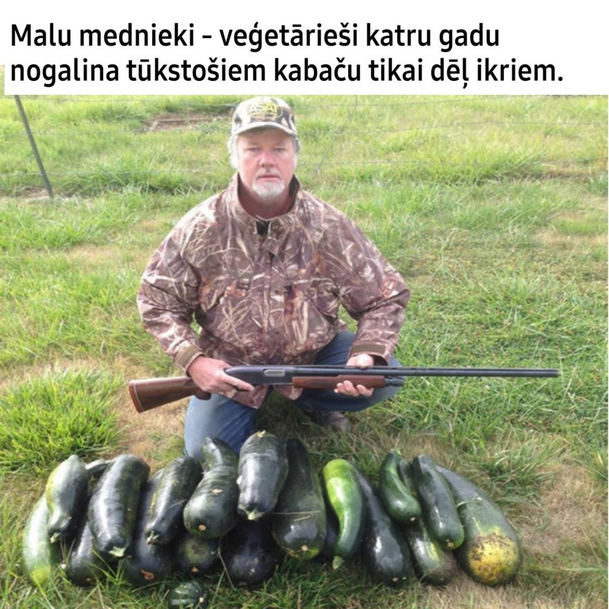 Pasmaidi!