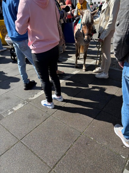 FOTO: Ogre svin! Ielūkojies novada un pilsētas svētku mirkļos