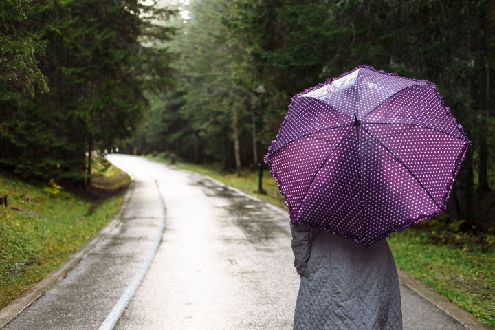 Ceturtdiena būs mākoņaina un palaikam līs