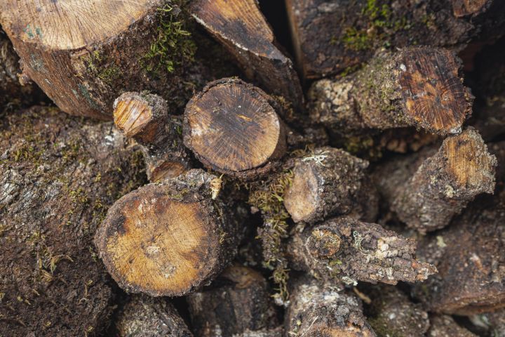 "Stiga RM" investēs 92 miljonus eiro jaunās kokapstrādes rūpnīcas būvniecībā Ogrē