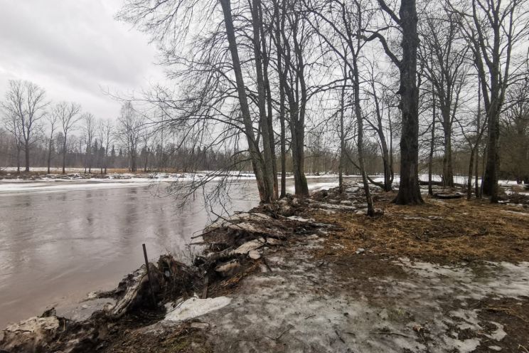 Attēls rakstam: Ledus iešanas dēļ novērots straujāks ūdens līmeņa kāpums Ogres upē un citviet Latvijā 