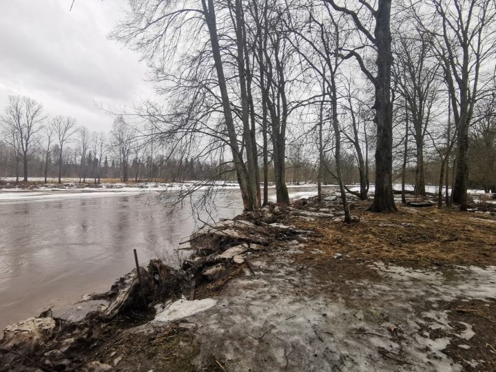 Ledus iešanas dēļ novērots straujāks ūdens līmeņa kāpums Ogres upē un citviet Latvijā 