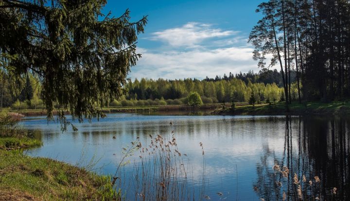 Nepeldies! Divās Ogres novada atpūtas vietās konstatētas zilaļģes