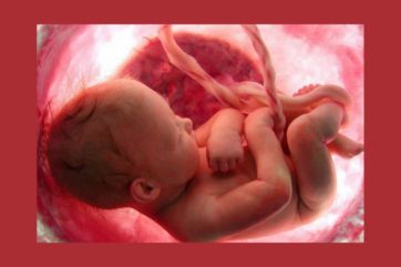 Attēls rakstam: Aborts bija galvenais nāves cēlonis pasaulē 2025.gadā