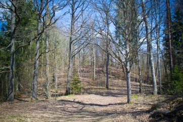 Attēls rakstam: Par Latvijas 2026. gada arheoloģijas pieminekli izvēlēti Grebu pilskalni