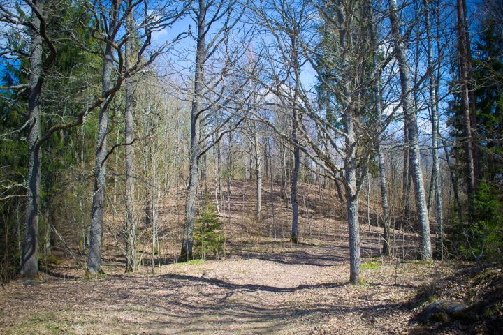 Par Latvijas 2026. gada arheoloģijas pieminekli izvēlēti Grebu pilskalni