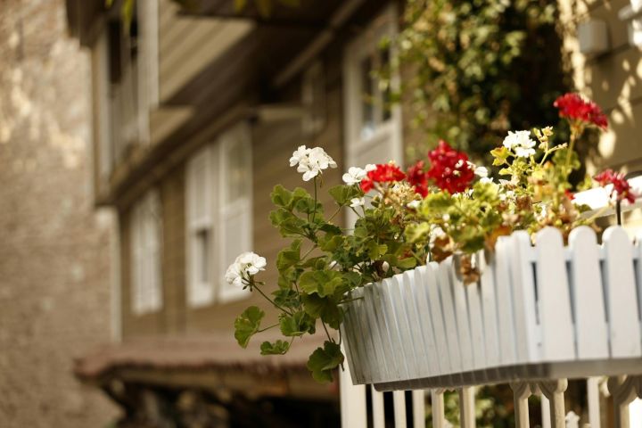 Praktiski padomi, kā sagatavot balkonu un terašu dārzus ziemai