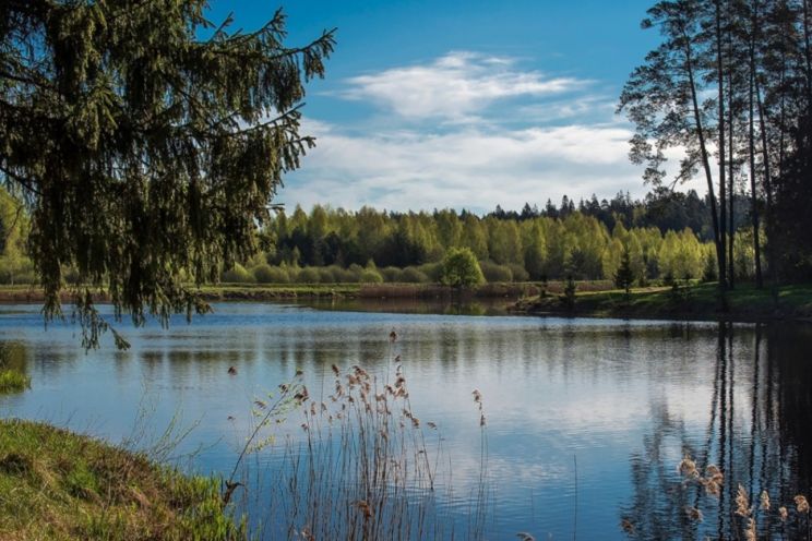 Attēls rakstam: Trīs Ogres novada peldvietās labāk nepeldēties