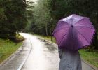 Attēls rakstam: Ar kādiem laikapstākļiem sāksies jaunā nedēļa?