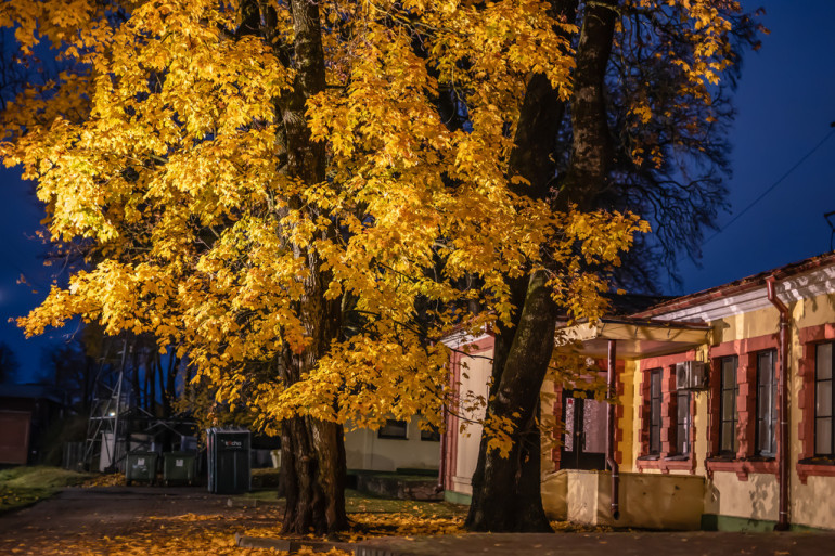 FOTO: Rudens vakars Ogres pilsētā