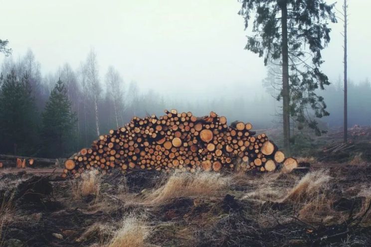 Attēls rakstam: Kas solīts un kas paveikts klimata jomā