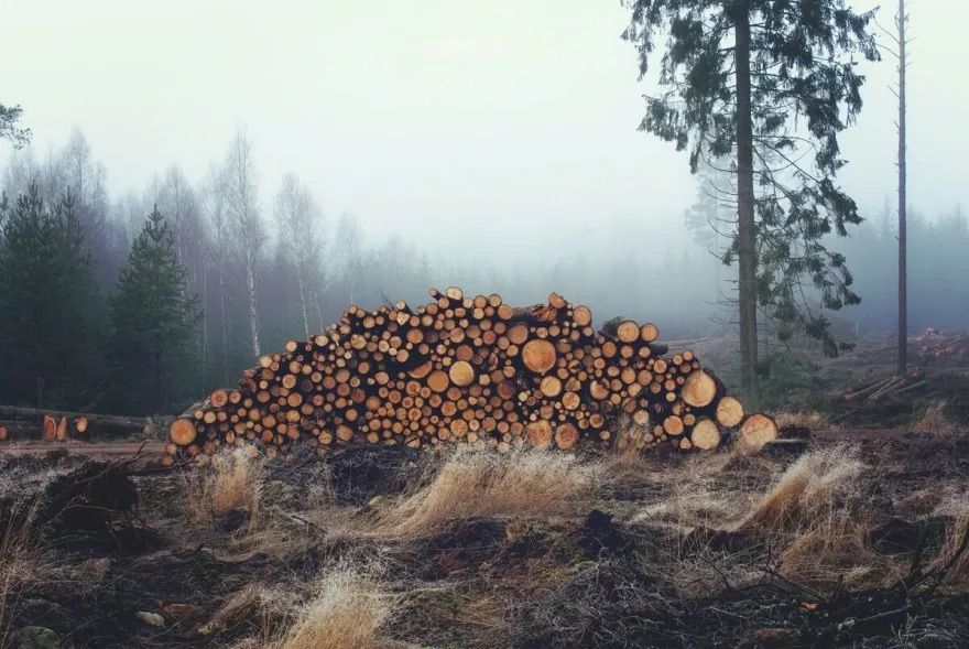 Kas solīts un kas paveikts klimata jomā
