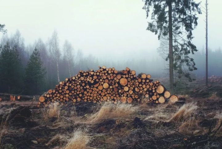 Kas solīts un kas paveikts klimata jomā