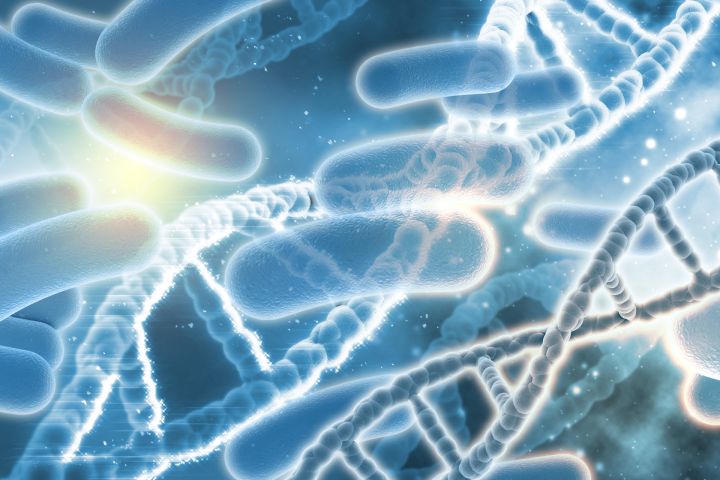 Pierimusi bīstamās E. coli infekcijas izplatīšanās