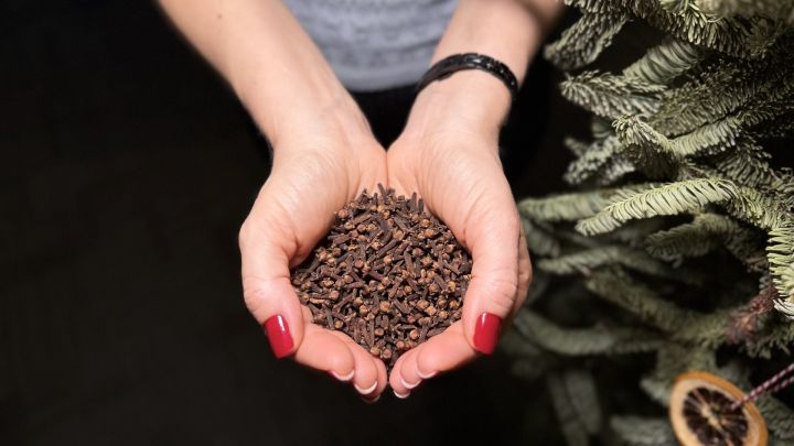 Garšvielu “aptieciņa” Ziemassvētkiem – ko turēt mājās, lai justos labi pēc svētku maltītēm