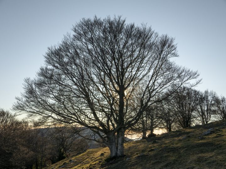 Sestdiena būs silta un saulaina