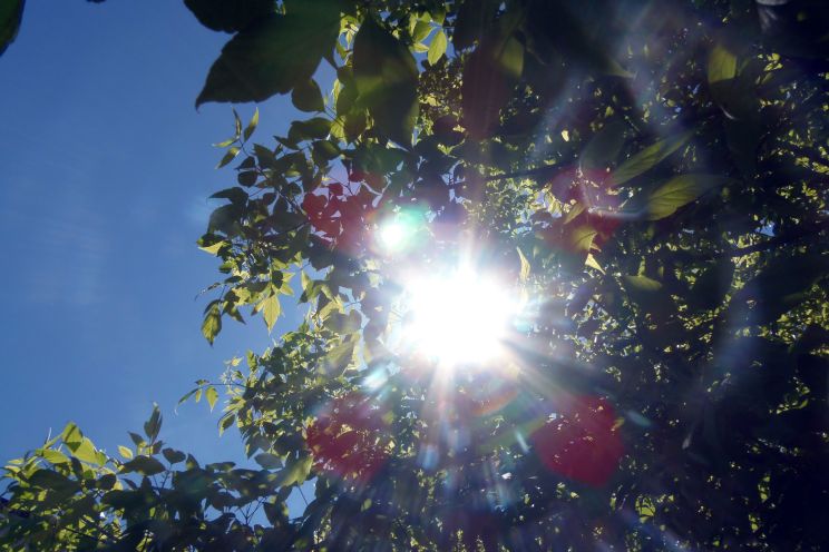 Attēls rakstam: Nedēļa noslēgsies ar saulainu laiku