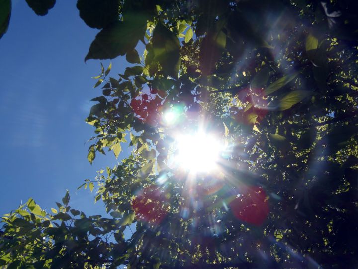 Nedēļa noslēgsies ar saulainu laiku