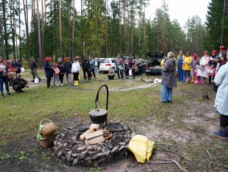 Sēņotāju paradīze Tomē - vienā rītā salasīti vairāk nekā 131 kilograms