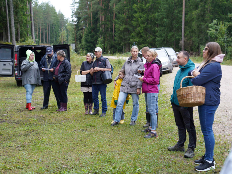 Sēņotāju paradīze Tomē - vienā rītā salasīti vairāk nekā 131 kilograms