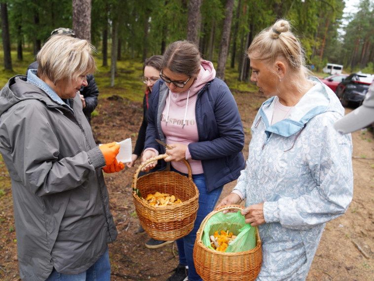 Sēņotāju paradīze Tomē - vienā rītā salasīti vairāk nekā 131 kilograms