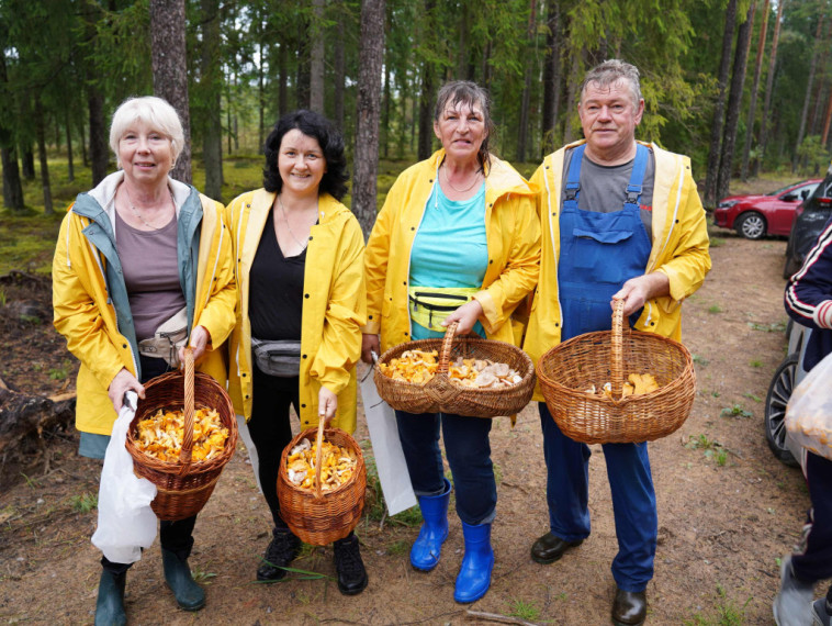 Sēņotāju paradīze Tomē - vienā rītā salasīti vairāk nekā 131 kilograms