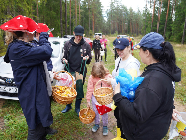 Sēņotāju paradīze Tomē - vienā rītā salasīti vairāk nekā 131 kilograms