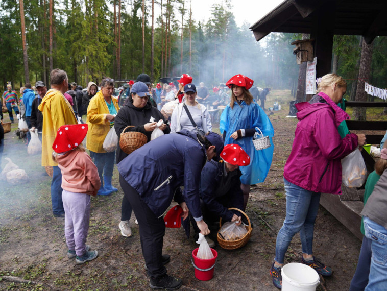 Sēņotāju paradīze Tomē - vienā rītā salasīti vairāk nekā 131 kilograms