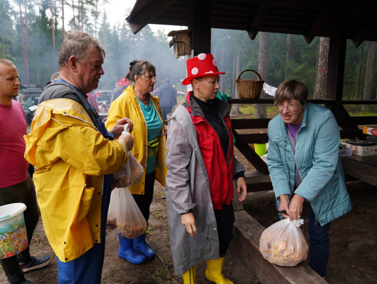 Sēņotāju paradīze Tomē - vienā rītā salasīti vairāk nekā 131 kilograms