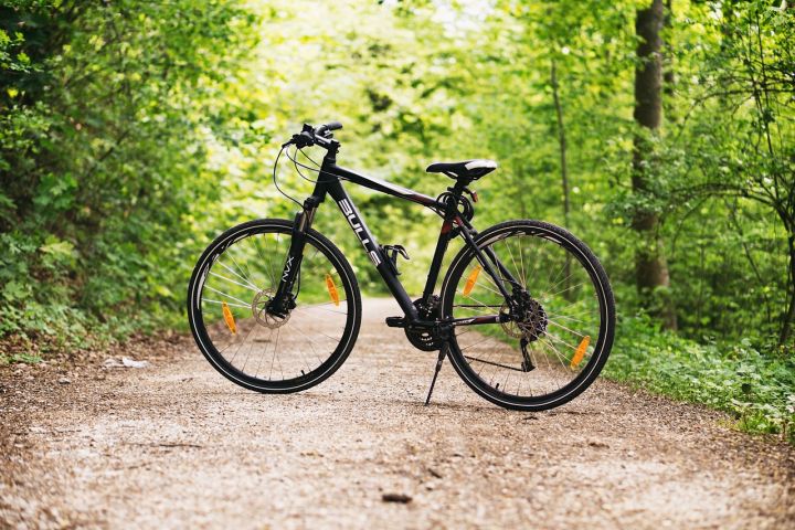 Veloizbrauciens Tomes apkārtnē