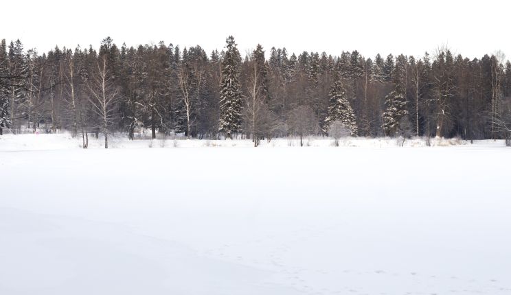 Attēls rakstam: Kriminālvajāšana par puisēnu sniegā