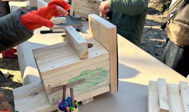 "Rīgas mežos" pavasaris sāksies ar putnu būrīšu talkām, arī Tīnužu pagastā