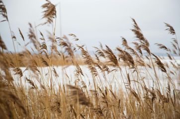 Attēls rakstam: Ūdens līmeņa kāpums Lielupē un upēs valsts austrumu daļā kļuvis straujāks