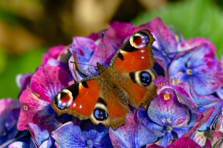 Trešdien, Ogrē, gaiss iesils līdz +24 grādiem