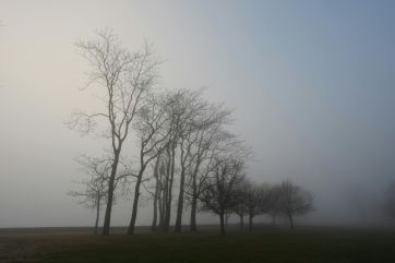 Attēls rakstam: Svētdiena gaidāma mākoņaina un drēgna