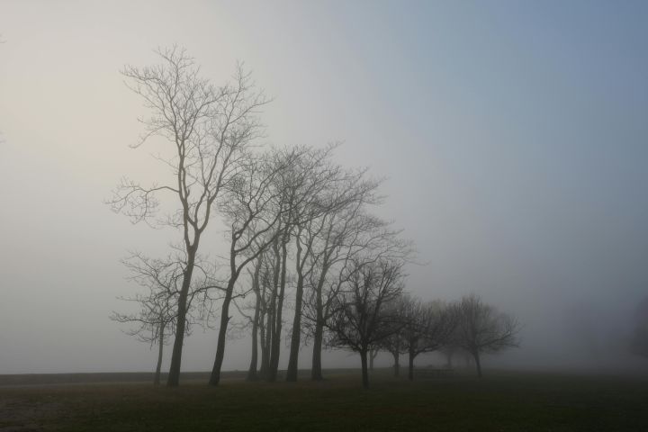 Svētdiena gaidāma mākoņaina un drēgna