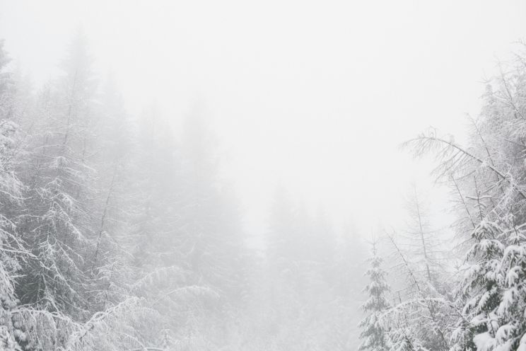 Attēls rakstam: Ceturtdien daudzviet, tostarp Ogrē, gaidāms neliels sniegs